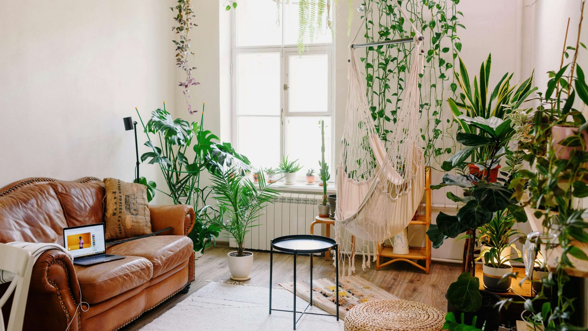 Mehr über den Artikel erfahren Biophilic Design – Warum wir die Natur in die Räume holen sollten