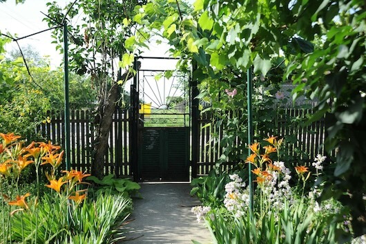 Eingangstor in einen Garten mit Weg